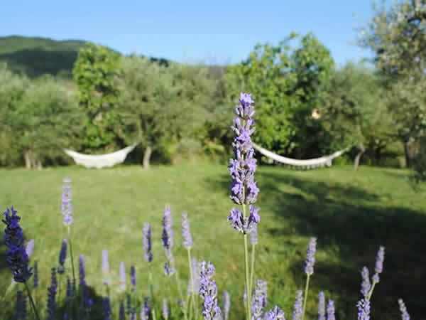 Poderaccio Organic Agritourism