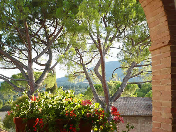 Agriturismo La Badiola