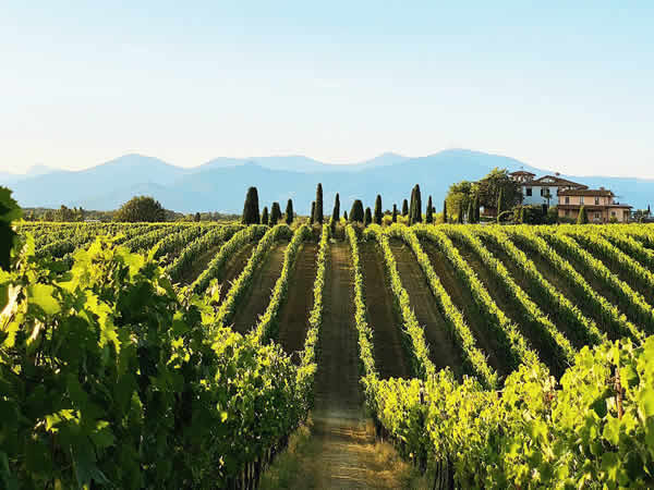Poggio al Casone
