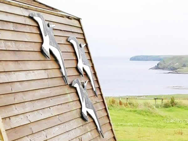 Wild Orcadian Camping Pods