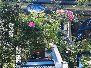 Organic Holidays - Ashby House Bed and Breakfast, 989 Bute Street, Vancouver [BC]. V6E 1Y7