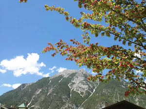 Organic Holidays - Biohotel Leutascherhof, Weidach 305, 6105 Leutasch. 