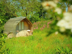 Organic Holidays - Caban Bach, Penybanc Farm, Drefach Felindre. SA44 5XE