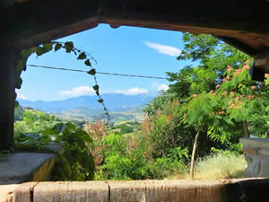 Organic Holidays - Casale il Baronetto, Contrada Selva Grande, 4, 64034 Castiglione Messer Raimondo [TE]. 