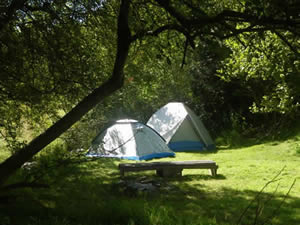 Organic Holidays - Gorfanc Camping, Gorfanc, Carno. SY17 5JP