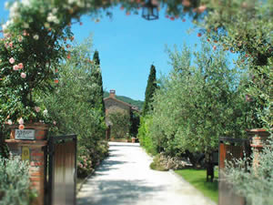 Organic Holidays - Il Fontanaro Organic Farm, Vocabolo Montanaro 64, 06060 Paciano [PG]. 