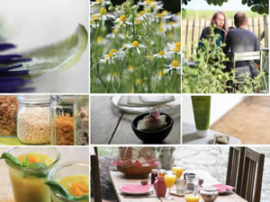 Organic Holidays - In Motion Eco Bed and Breakfast, Rue du Henrifontaine 17, 4280 Bertree Hannut. 