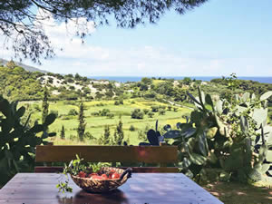 Organic Holidays - Logothetis Organic Farm, Vassilikos, 29100 Zakynthos. 