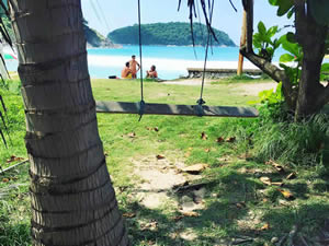 Organic Holidays - Paleo Wellness Retreat, Amphur Muang, Phuket 83130. 