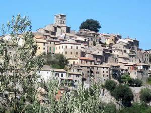 Organic Holidays - Sunflower Retreats in Casperia, via Tito Tazio 11, 02041 Casperia [RI]. 