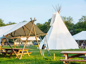 Organic Holidays - Wowo Campsite, Wapsbourne Manor Farm, Sheffield Park. TN22 3QT