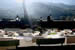 Organic Holidays - Agriturismo La Concia, Via Codiponte 50, 54014 Casola in Lunigiana [MS]. 