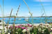 Organic Holidays - Argyll Hotel, Isle of Iona, Argyll And Bute. PA76 6SJ