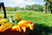 Organic Holidays - Azienda Agricola Biologica Nico, Localita Gello di Sopra 119, 55041 Orbicciano Camaiore [LU]. 