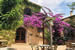 Organic Holidays - El Moli de Siurana, Alt Emporda, 17469 Siurana d'Emporda. 