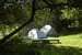Organic Holidays - Gorfanc Camping, Gorfanc, Carno. SY17 5JP