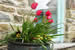 Organic Holidays - Old Dairy at Troed y Rhiw Farm, Llwyndafydd, Llandysul. SA44 6BY