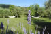 Organic Holidays - Poderaccio Organic Agritourism, Localita San Michele, 15, 50063 Figline Incisa Valdarno [FI]. 