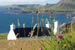 Organic Holidays - Treshnish Cottages, Treshnish Point, Calgary. PA75 6QX