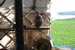 Organic Holidays - Sandpiper Yurt, Eastside, South Ronaldsay. KW17 2TJ